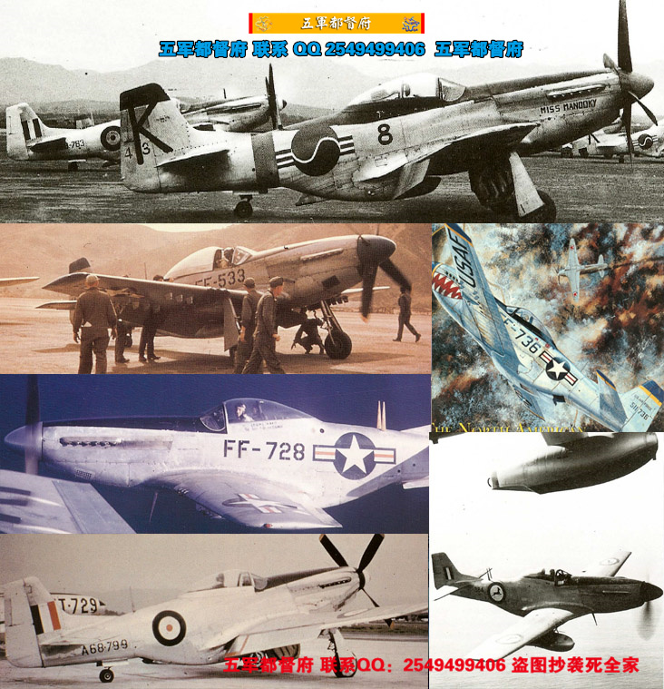 【空】朝鲜战争中的美国F-51野马战斗机研究文献（英）