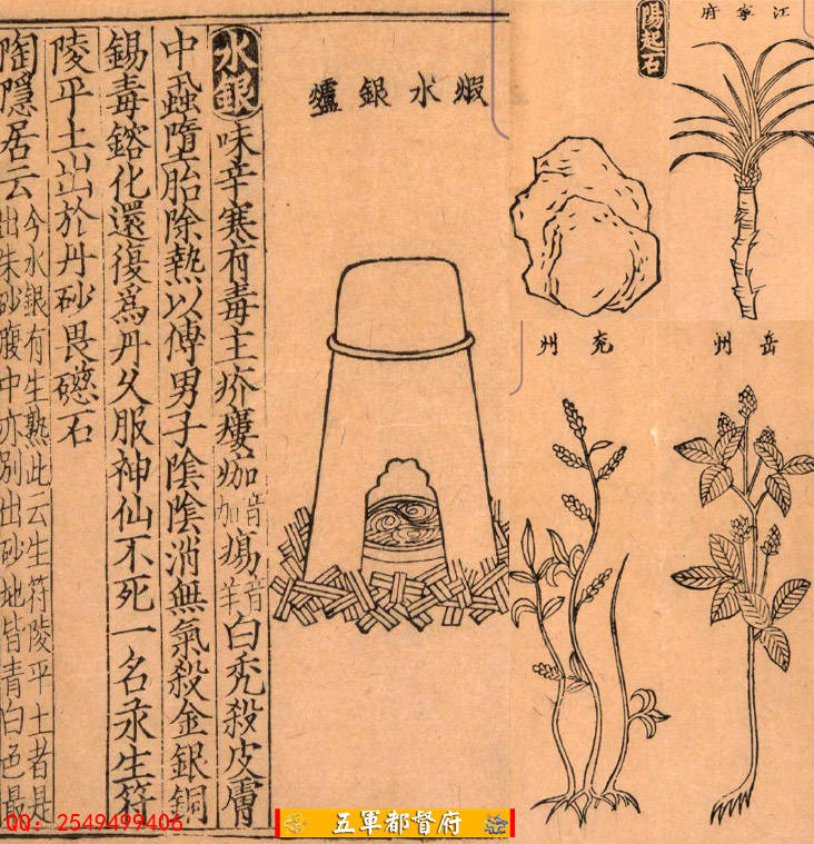 【古籍】日本藏国宝珍贵宋版动植物本草巨著图注本草48卷（南宋古本）