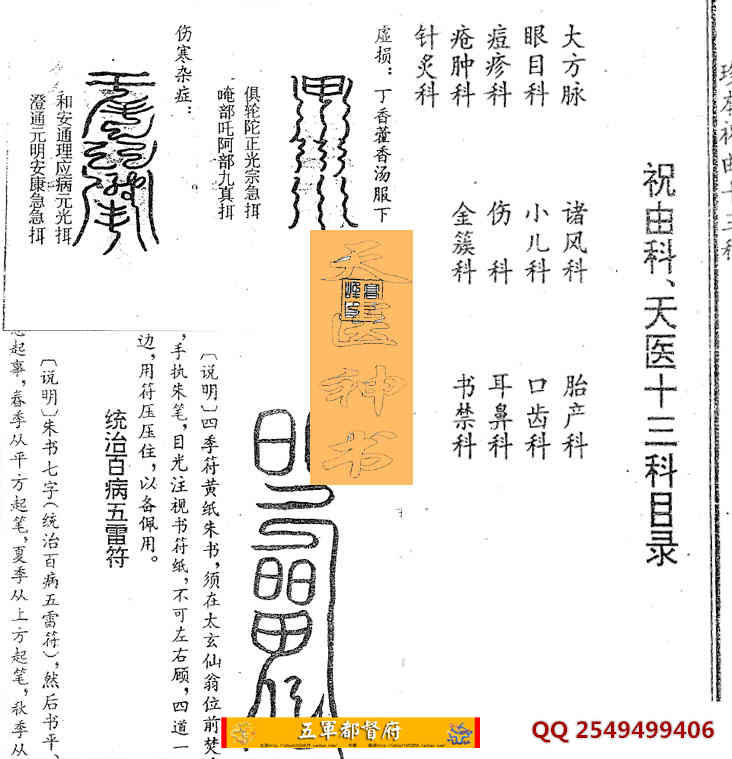  【古籍】龙虎山秘传祝由十三科天医神书